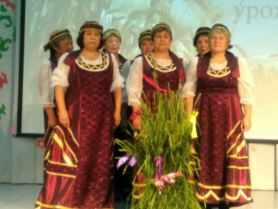 Зажинки в Новопетрово