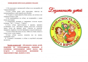 Безопасность детей
